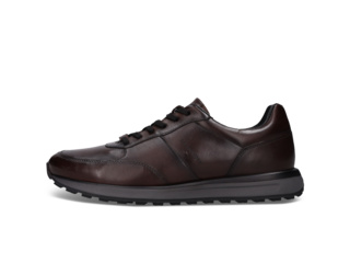 SALAMANDER Sneaker