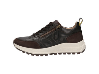 SALAMANDER Sneaker
