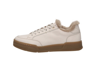 SALAMANDER Sneaker